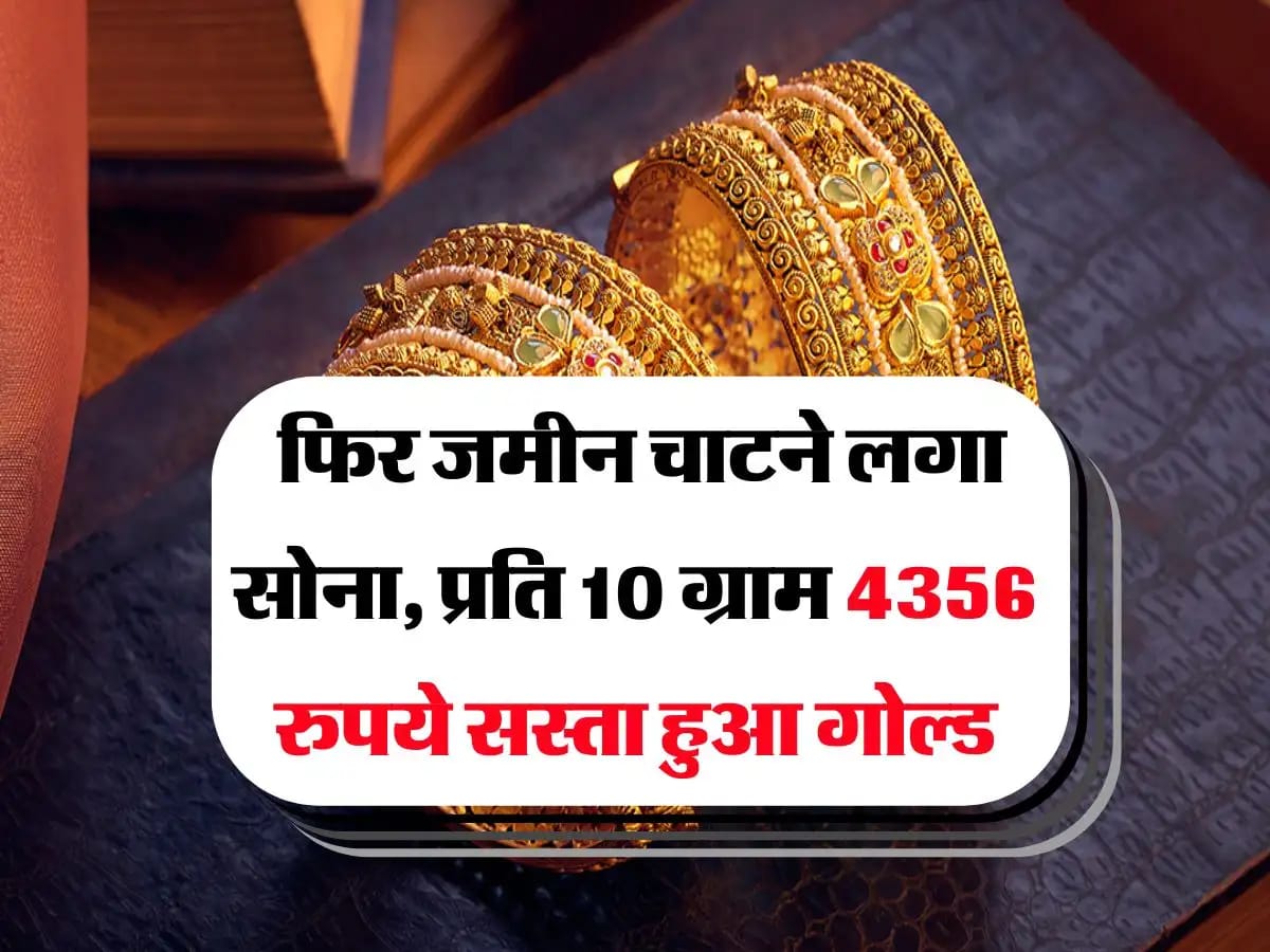 WhatsApp Image 2025-05-29 at 1.46.53 PM